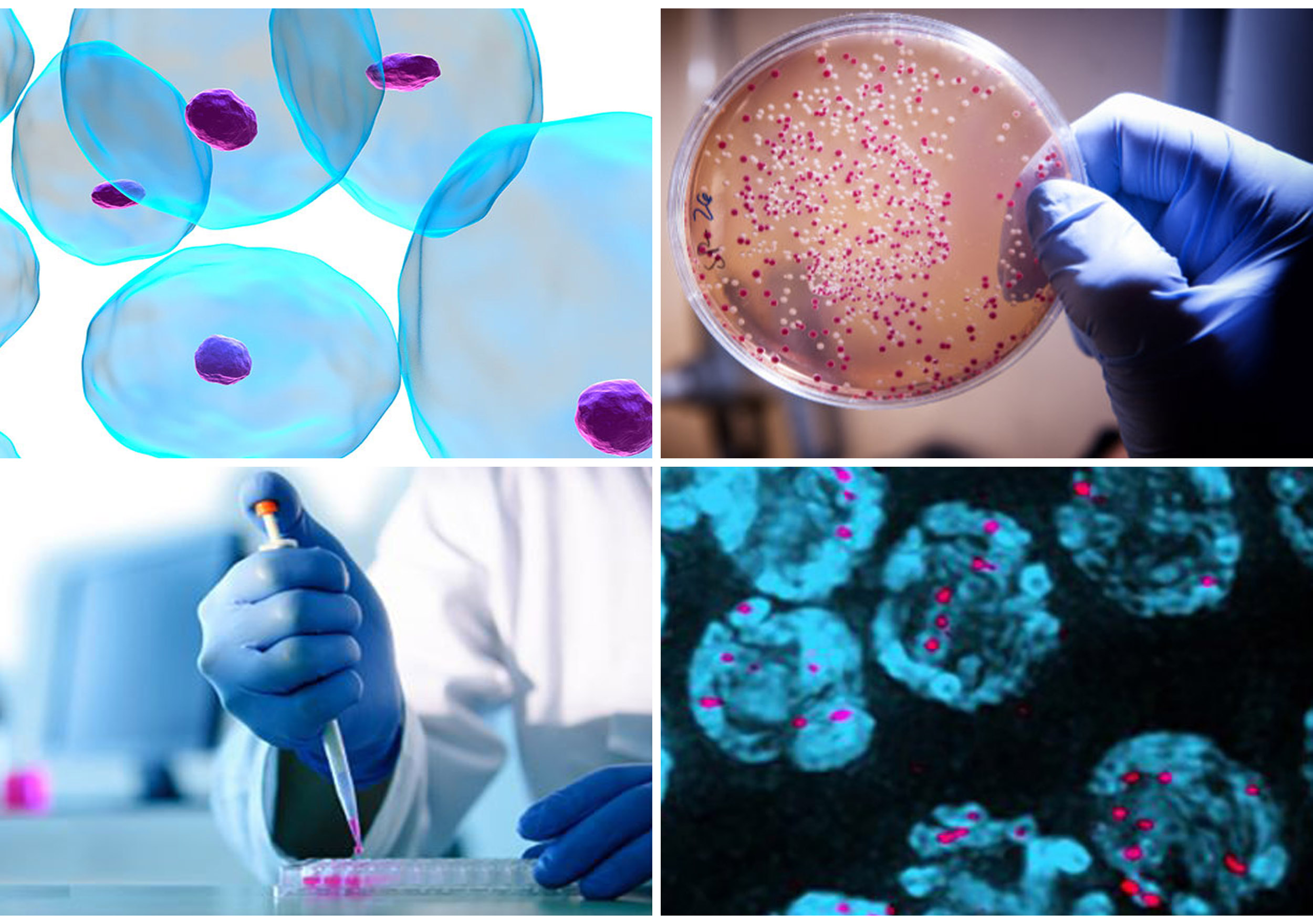 Laboratory Research